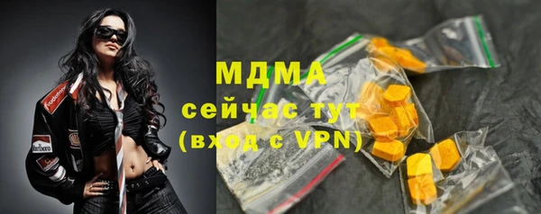 индика Вяземский