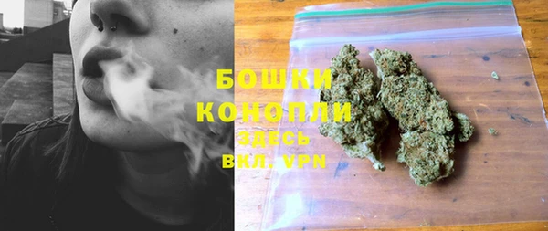 шишки Михайлов