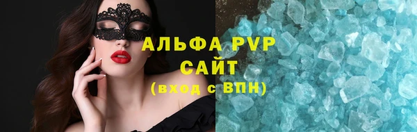 индика Вяземский