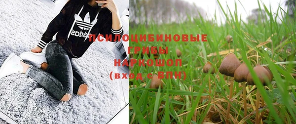 индика Вяземский
