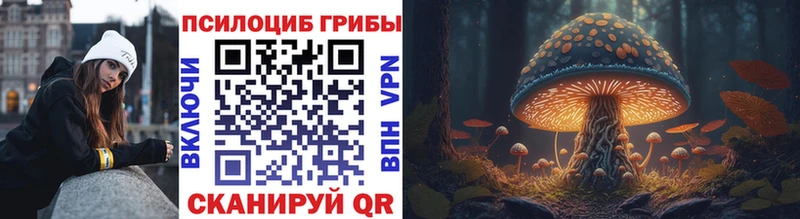 мега как войти  магазин    Макарьев  Галлюциногенные грибы Psilocybine cubensis 